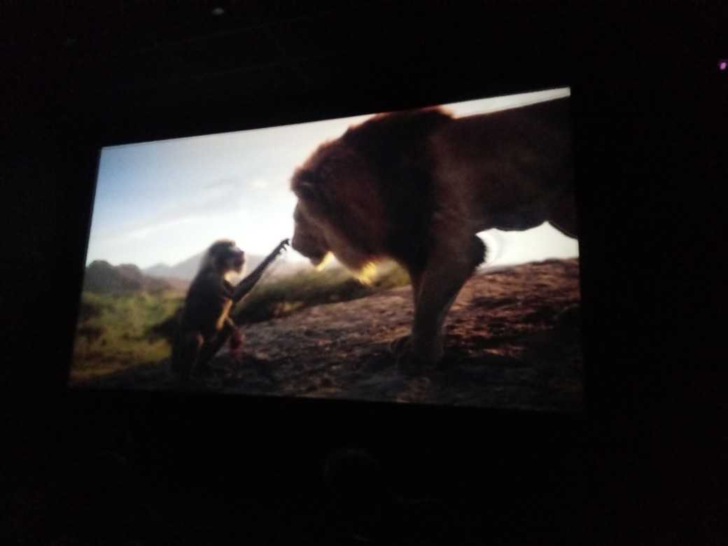 kadr z filmu "Król lew"