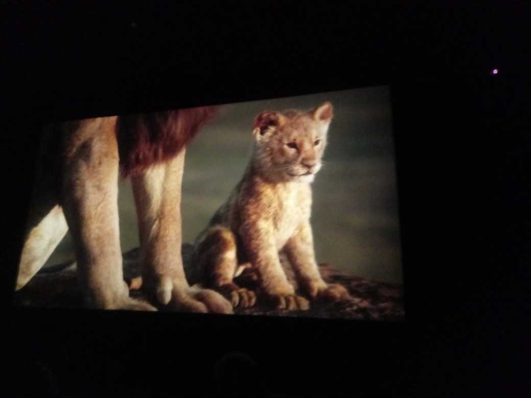 kadr z filmu "Król lew"