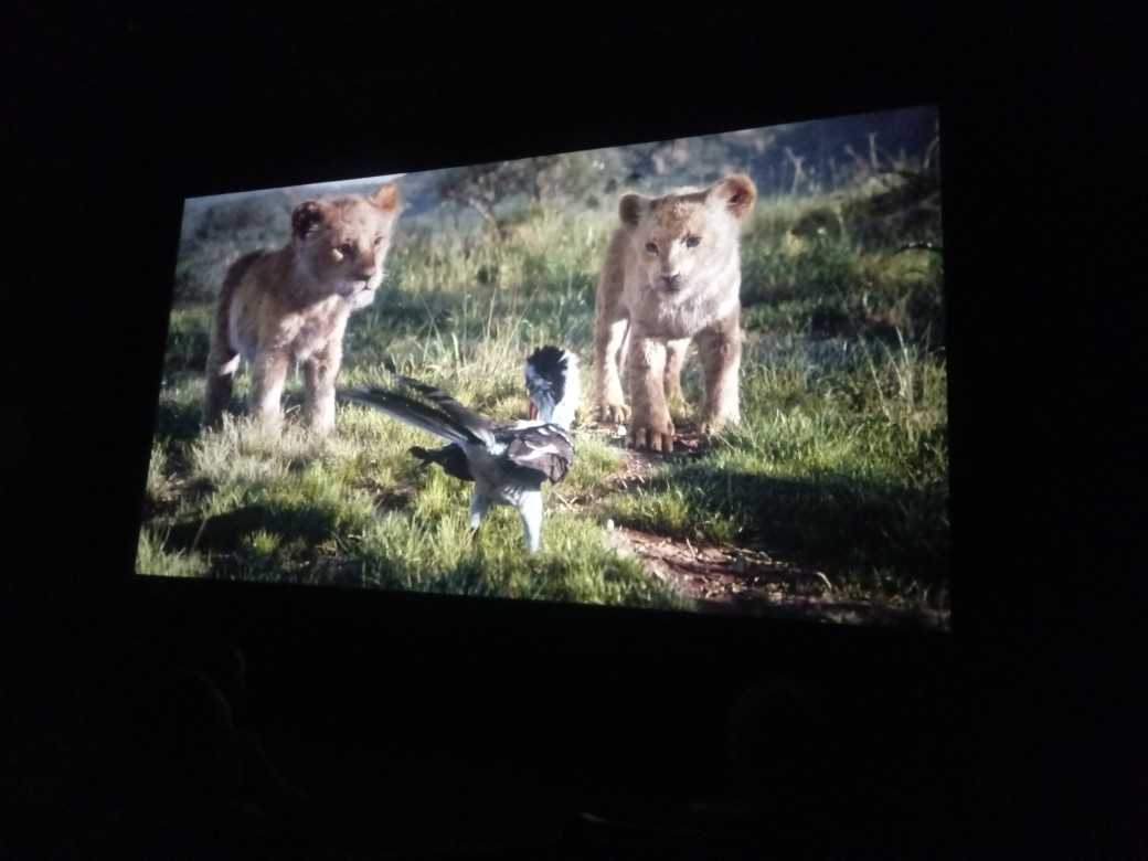kadr z filmu "Król lew"
