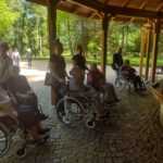 starsi ludzie siedzą na wózkach inwalidzkich w parku