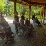 starsi ludzie na wózkach inwalidzkich spędzają czas w parku