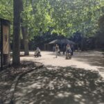 alejką parkową spacerują starsi ludzie na wózkach inwalidzkiche